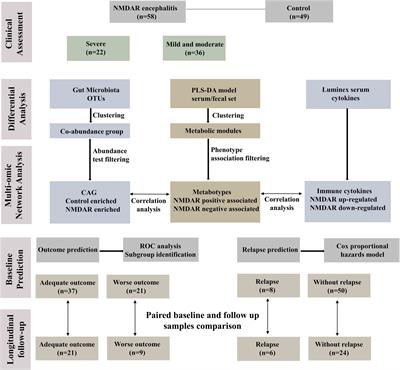 Disturbance of Gut Bacteria and Metabolites Are Associated with Disease Severity and Predict Outcome of NMDAR Encephalitis: A Prospective Case–Control Study